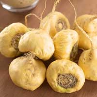 Maca root, a Peruvian botanical included in the ZenCortex formula